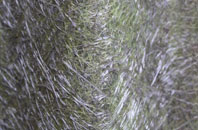 Old Milton fibreglass roof work